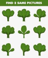 Education game for children find two same pictures vegetable spinach vector