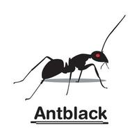 diseño de vector de logotipo de hormiga