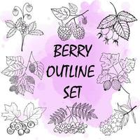 Berry outline set, hand drawn berries collection, one line berry illustration. Strawberry, Raspberry, gooseberry, rowan, seaberry, blackberry, mulberry, rossehip vector