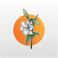 bunch of lily flowers illustration vector