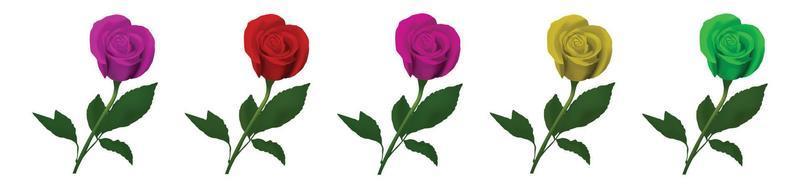 Beautiful Rose Flower Set vector