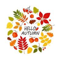 Autumn leaves background. Hello autumn concept. Vector Illustration