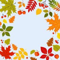 Autumn leaves background vector