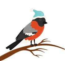 Bullfinches or robin in Christmas had on white isolated background vector