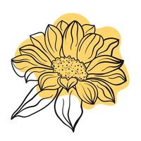 Vector line black illustration graphics flower sunflorer with colors stains