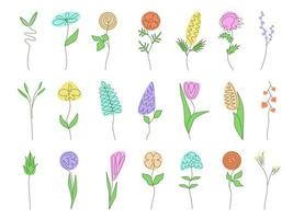 Set of simple minimalistic outline drawind colorful flowers. Floral, herbs, leaves collection. Flat style vector. Botany, plants icons. Elements for decor, design concept, logo, invitation vector