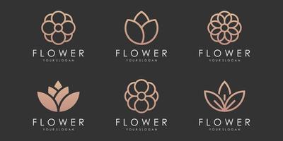 logotipo de ornamento floral abstracto y conjunto de iconos. vector de plantilla de diseño.