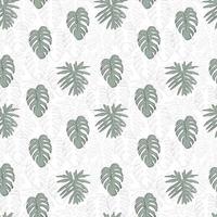 Monstera leaf seamless pattern. Print for textile with tropical plant. Exotic texture with greenery havaiian leaf. vector