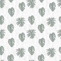 Monstera leaf seamless pattern. Print for textile with tropical plant. Exotic texture with greenery havaiian leaf. vector