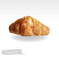 Croissant vector illustration drawn in realistic style