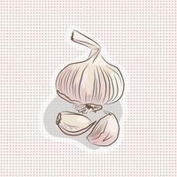 Garlic on a polka dot background. Hand drawn vector picture.