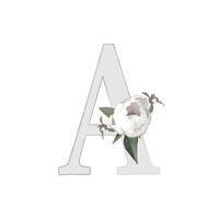 Vector illustration of a letter decorated with a bouquet of peonies