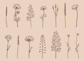 Set of herbs and wild flowers. Hand drawn floral elements. Vector illustration.