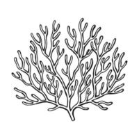 coral. ilustración dibujada a mano convertida en vector. vector