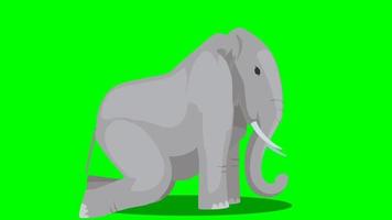 Cartoon Animal Green Screen - Elephant - Stand Sit loop video