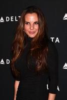 LOS ANGELES, FEB 7 -  Kate del Castillo arrives at the Celebration of LA s Music Industry reception at the Getty House on February 7, 2013 in Los Angeles, CA photo