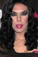 LOS ANGELES, FEB 17 -  Kelly Mantle at the RuPaul s Drag Race Season 6 Premiere Party at Hollywood Roosevelt Hotel on February 17, 2014 in Los Angeles, CA photo