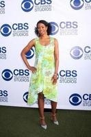 LOS ANGELES, MAY 19 -  Kim Wayans at the CBS Summer Soiree at London Hotel on May 19, 2014 in West Hollywood, CA photo