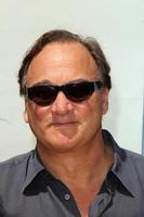 LOS ANGELES, MAY 3 -  James Belushi at the Legends of Oz - Dorothy s Return Los Angeles Premiere at Village Theater on May 3, 2014 in Westwood, CA photo