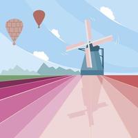 Tulip field in the Netherlands vector