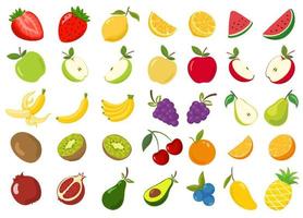 fruit collection set illustration cartoon vector