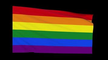 Waving pride flag loop 6 color pride flag video