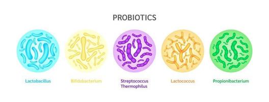 Probiotics lactic acid bacterium in milk, yogurt. Label Bifidobacterium, lactobacillus, streptococcus thermophilus, lactococcus, propionibacterium. Digestion healthcare concept. Vector EPS10.