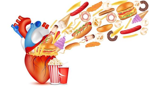 Foods that are bad for the heart. Diet dangerous coronary fitness. Unhealthy heart. With human cardiovascular anatomy. Medical and health concepts. Isolated on white background 3D vector.