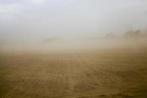 el viento de arena foto