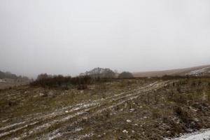 árboles cubiertos de nieve en invierno foto