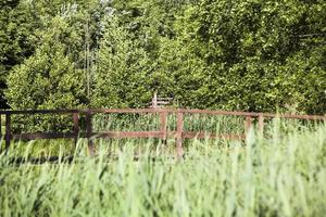 a simple wooden bridge photo