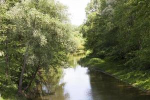 río en la naturaleza foto