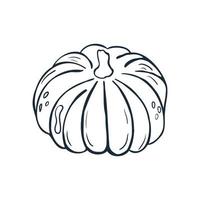 Pumpkin line art . Vector illustration with doodles on the theme of cozy autumn.A cute element for greeting cards, posters, stickers and seasonal design. Isolated on a white background.