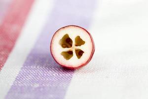ripe red sour cranberry photo
