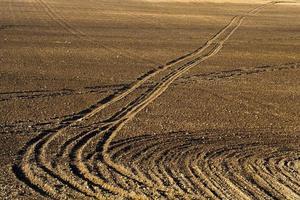 plowed agricultural field photo