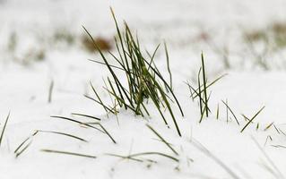 Snow drifts in winter photo