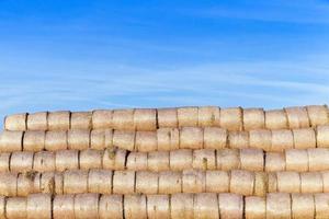 straw after harvest photo