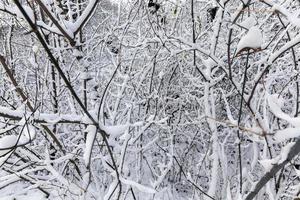 Snow drifts in winter photo