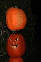 LOS ANGELES, OCT 4 - Rob Kardashian Carved Pumpkin at the RISE of the Jack O Lanterns at Descanso Gardens on October 4, 2014 in La Canada Flintridge, CA photo