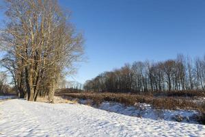 nieve en el invierno foto