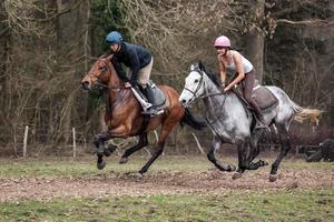 ASHURSTWOOD, WEST SUSSEX, UK, 2011. Horse Riding photo