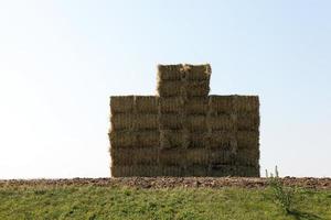 Stack of straw, wheat photo