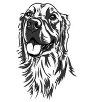 dibujo de arte lineal de perro labrador retriever vector
