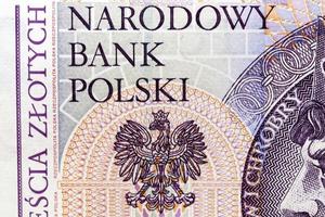 Polish banknotes, close up photo