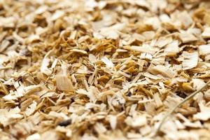 sawdust close up photo