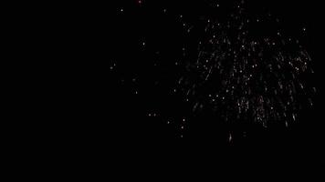 feux d'artifice clignotant dans le ciel nocturne. video