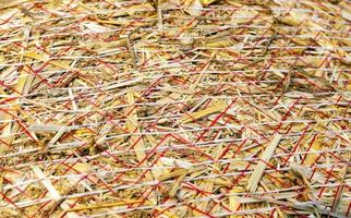 haystacks in a field of straw photo