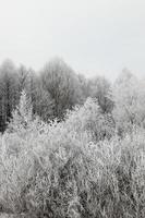 Snow drifts in winter photo