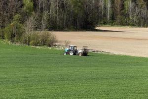 processing of cereals photo