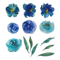 blue rose element watercolor clipart vector